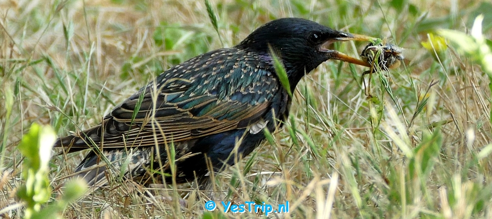 xxx From Montpellier to Gignac